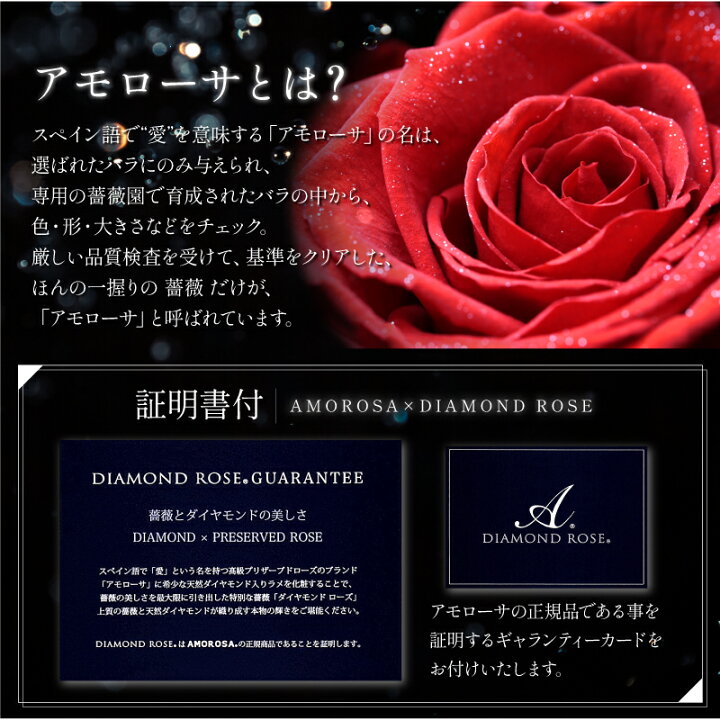 楽天市場 ペアネックレス プリザーブドフラワー 名入れ アモローサ Lovering プレゼント ギフト おしゃれ 高級感 枯れない 花 ネックレス アクセサリー ステンレス お揃い 女性 彼女 恋人 妻 プロポーズ 誕生日 結婚記念日 送料無料 翌々営業日出荷 名入れ