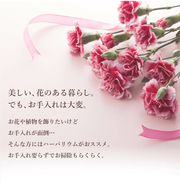 楽天市場 カーネーション ハーバリウム 名入れ カーネーションハーバリウム 誕生日プレゼント 花 あじさい かすみそう ドライフラワー かわいい おしゃれ 人気 メッセージ 名前入り 母 義母 母親 女性 記念日 お祝い 送料無料 翌々営業日出荷 名入れプレゼント