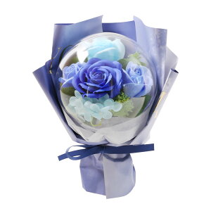 o[ t[ ԑ o[t[ u[P Pi ANo[  y ANo[u[P zv[g o \[vt[  j a \ Əj L