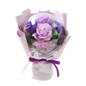 o[ t[ ԑ o[t[ u[P Pi ANo[  y ANo[u[P zv[g o \[vt[  j a \ Əj L