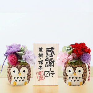 Ê j v[g ӂ낤  vU[uht[ a y  ӂ낤 vU yA z Fl vw yAMtg  j Mtg u e c c  ⍥ җj