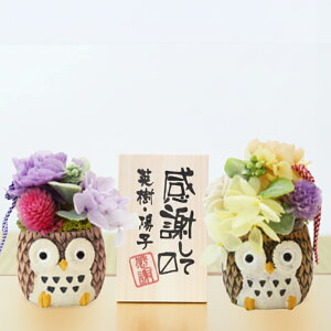 Ê j v[g ӂ낤  vU[uht[ a y  ӂ낤 vU yA z Fl vw yAMtg  j Mtg u e c c  ⍥ җj