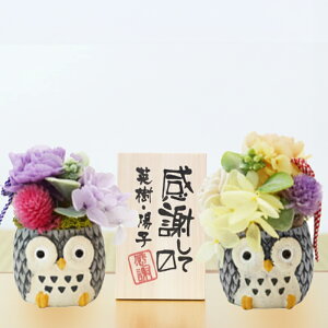 Ê j v[g ӂ낤  vU[uht[ a y  ӂ낤 vU yA z Fl vw yAMtg  j Mtg u e c c  ⍥ җj