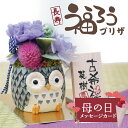 古希 お祝い 喜寿祝い 母の日 プレゼント 花 ふくろう プリザーブドフラワー 名入れ 【 長寿 ふくろう プリザ 】誕生日プレゼント 母 70代 女性 母親 父親 フラワー ギフト 卒寿 傘寿 祝い 80代 置物 フクロウ 梟 古希祝い 70歳 喜寿 祝い 77歳 紫 還暦祝い 60歳 送料無料
