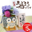 古希 お祝い 喜寿祝い プレゼント 花 ふくろう プリザーブドフラワー 名入れ 【 長寿 ふくろう プリザ 】誕生日プレゼント 母 70代 女性 母親 父親 フラワー ギフト 卒寿 傘寿 祝い 80代 置物 フクロウ 梟 古希祝い 70歳 喜寿 祝い 77歳 紫 還暦祝い 60歳 米寿 白寿 送料無料