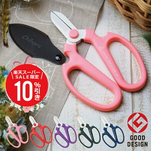 _X[p[SALEԌ10OFF^ av[g pI e 60 |  ͂ nT~ nP[Xt  y |nT~ nhNG[V z v[g  Mtg  