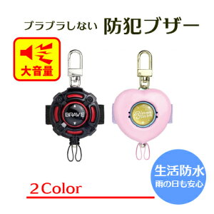 hƃuU[@w SONIC@y@v@剹ʁ@@h ǂ q w  Up hZɂ ʈS 铹@su[gʊwuU[@RCdr@hƃx hƃO