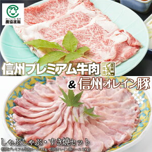 yN[|5%OFFzMBv~AEMBIC؂ԂԁEĂpZbg