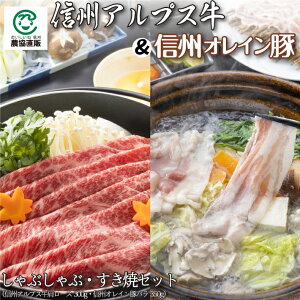 yN[|5%OFFzMBAvXMBIC؂ԂԁEĂZbg