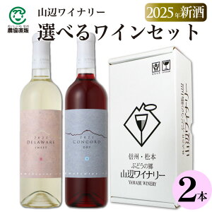 y2025NVzRӃCi[@Iׂ郏C2{Zbgy쌧YCz