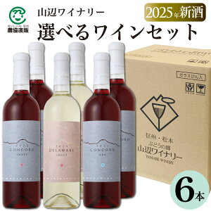 y2025NVzRӃCi[@Iׂ郏C6{Zbgy쌧YCz