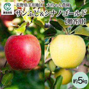 쌧 傿_ TӂVimS[h 5kg_p