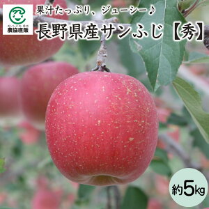 쌧Y Tӂ5kg_G(10`20)