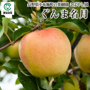 z{̉ʎ ΂₵̂ ܖ 3kgE5kg