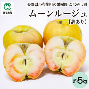 쌧z{΂₵ [[W 5kgy󂠂z