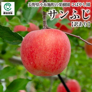 ���쌧���z�{�����΂₵�� �{��s�Y �T���ӂ� �y�󂠂�z��5kg�E��10kg�E��15kg