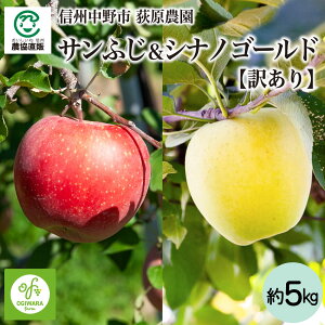 _ 쌧sY TӂVimS[h 5kgy󂠂z