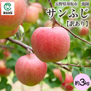 쌧{sY  Tӂ 3kgy󂠂z