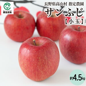 쌧Rw_ Tӂ  20ʁi܍4.5kg)