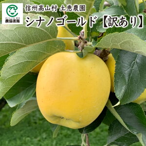 쌧R yb_ VimS[h y󂠂z_3kgE5kg