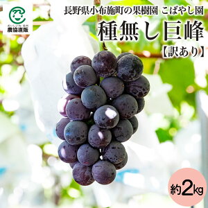 z{̉ʎ ΂₵ 햳 2kg y󂠂z_①