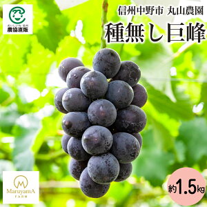 ێR_ 쌧sY햳1.5kg_①