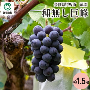 쌧{sY ̎햳 1.5kg_①