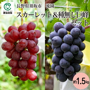 쌧{sY ̃XJ[bg햳 1.5kg_①
