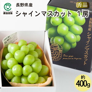 쌧Y VC}XJbgGi1[(400g)