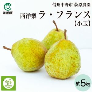 ymz_ 쌧sY EtX 5kgyʁz