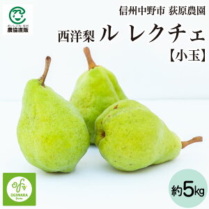 ymz_ 쌧sY  N`F 5kgyʁz