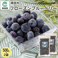 南信州 フローズンブルーベリー 500g×2