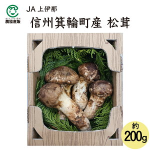 JAɓ MBY 쌧Y ֒Y  200g_①