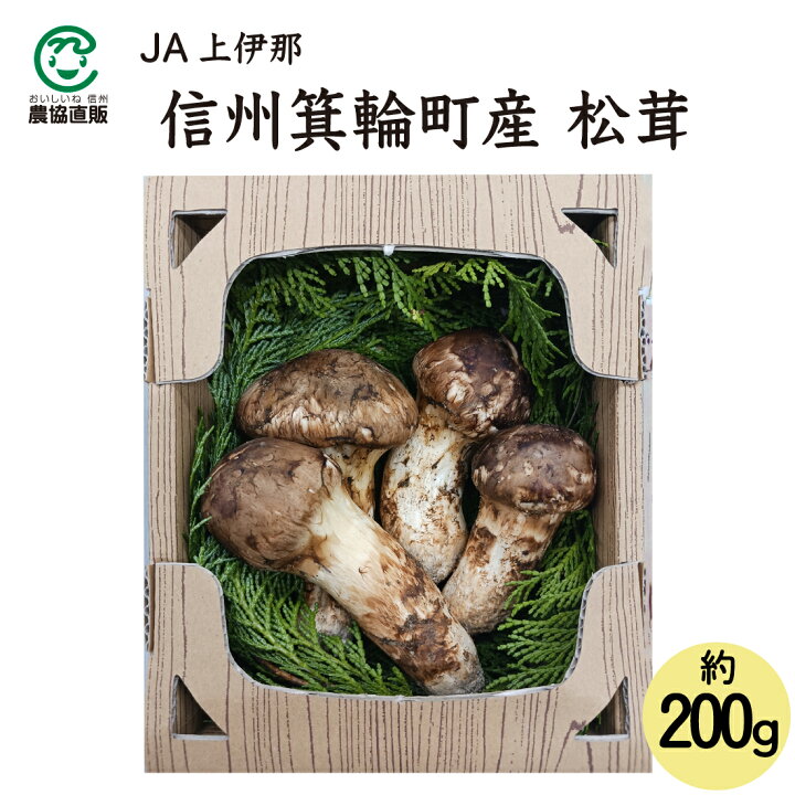 楽天市場】JA上伊那 信州産 長野県産 箕輪町産 松茸 約200g_冷蔵便 