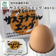 信州安曇野平飼い サステナブルエッグ［赤玉6個］