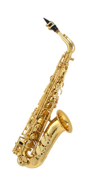 楽天市場】ビュッフェ・クランポン アルトサックス BC8101-1 : 管楽器 