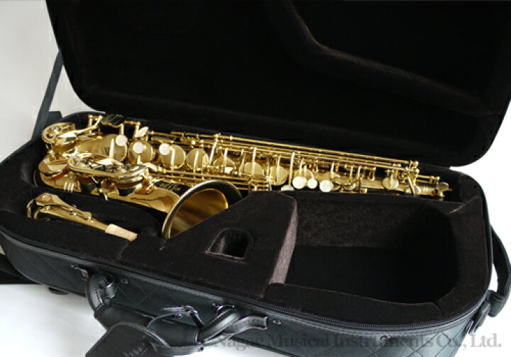 楽天市場】Neptune アルトサックス セミハードケース AS-830 : 管楽器 