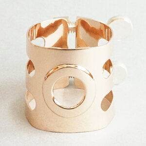 EbhXg[ AgTbNXK`[ SSPGPiSelmero[pj