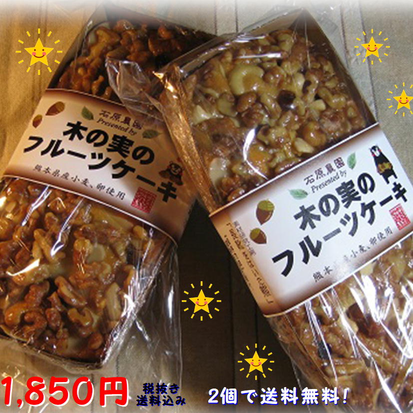 休み ２個で送料込み 送料無料 熊本県産小麦と卵でこの価格とボリューム 手作りのやさしい美味しさです ２個セット 木の実のフルーツケーキ 春の新作 パウンドケーキ☆