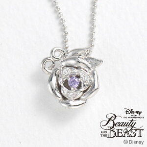 fBYj[ y_g lbNX Ɩb vZX x Vo[ L[rbN o  WG[ (vpcds20051) NX}X