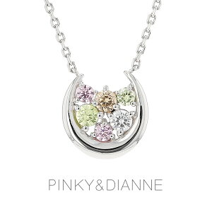 sL[Ah_CA PINKY&DIANNE Vo[ L[rbNWRjA n bL[`[t (VPCPD51648) NX}X