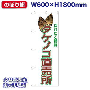 �̂ڂ�� �^�P�m�R������ �̂ꂽ�ĐV�N NDN_30547�y�󒍐��Y�i�E�L�����Z���s�z W600xH1800mm �t���J���[���