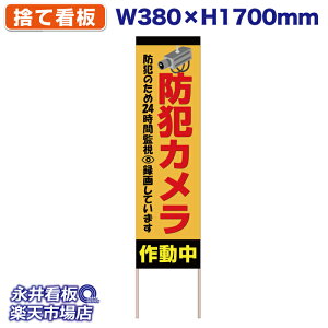 ĊŔ ̂ĊŔ hƃJ쓮 24ԊĎ NDS_30407y󒍐YiELZsz W380xH1700mm tJ[ ؐ ЍHꐻ @lK{