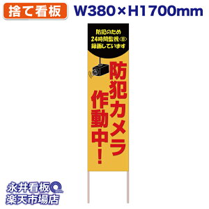 ĊŔ ̂ĊŔ hƃJ쓮 24ԊĎ NDS_30408y󒍐YiELZsz W380xH1700mm tJ[ ؐ ЍHꐻ @lK{