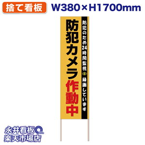 ĊŔ ̂ĊŔ hƃJ쓮 24ԊĎ NDS_30409y󒍐YiELZsz W380xH1700mm tJ[ ؐ ЍHꐻ @lK{