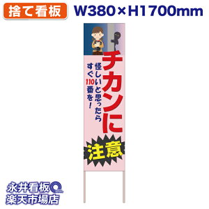 ĊŔ ̂ĊŔ `Jɒ ₵Ǝv炷110ԂI NDS_30412y󒍐YiELZsz W380xH1700mm tJ[ ؐ ЍHꐻ @lK{
