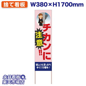 ĊŔ ̂ĊŔ `Jɒ ₵Ǝv炷110ԂI NDS_30413y󒍐YiELZsz W380xH1700mm tJ[ ؐ ЍHꐻ @lK{