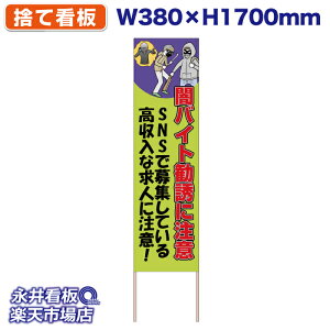 ĊŔ ̂ĊŔ ŃoCgUɒ ΐF NDS_30542_Gy󒍐YiELZsz W380xH1700mm tJ[ ؐ ЍHꐻ @lK{