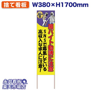 ĊŔ ̂ĊŔ ŃoCgUɒ F NDS_30542_Yy󒍐YiELZsz W380xH1700mm tJ[ ؐ ЍHꐻ @lK{