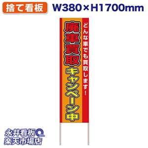 ĊŔ ̂ĊŔ pԔ Ly[ ǂȎԂł悵܂I NDS_30489y󒍐YiELZsz W380xH1700mm tJ[ ؐ ЍHꐻ @lK{